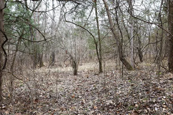 $162,950 | 0 Roderick Road, Cadet, MO 63630