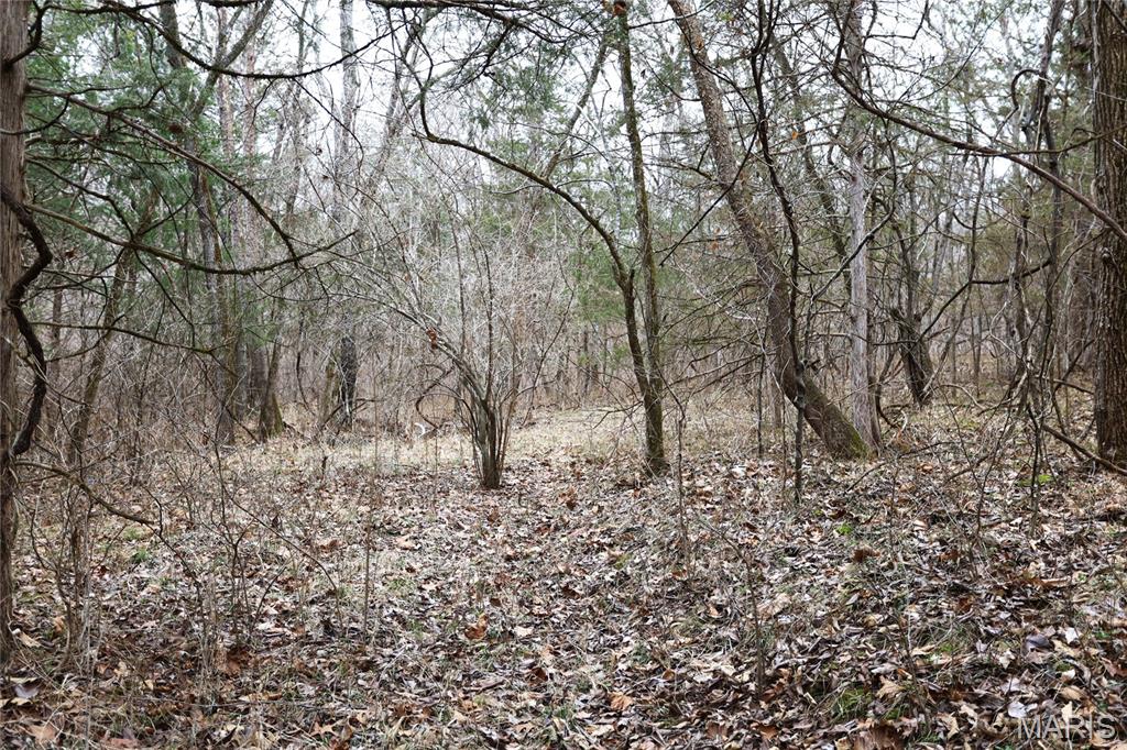 0 Roderick Road Cadet, MO 63630 - Photo 15 of 33