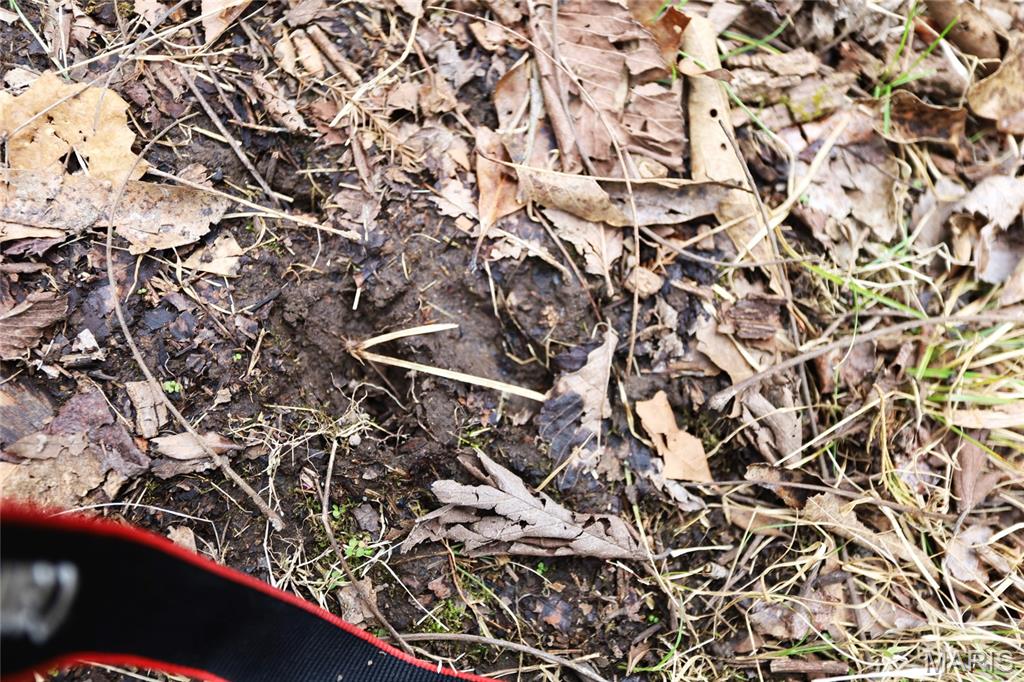 0 Roderick Road Cadet, MO 63630 - Photo 16 of 33