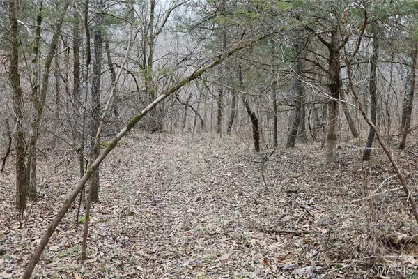 $162,950 | 0 Roderick Road, Cadet, MO 63630