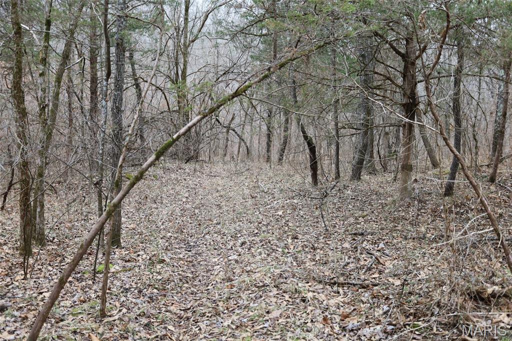 0 Roderick Road Cadet, MO 63630 - Photo 17 of 33