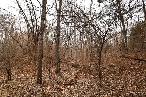 $162,950 | 0 Roderick Road, Cadet, MO 63630