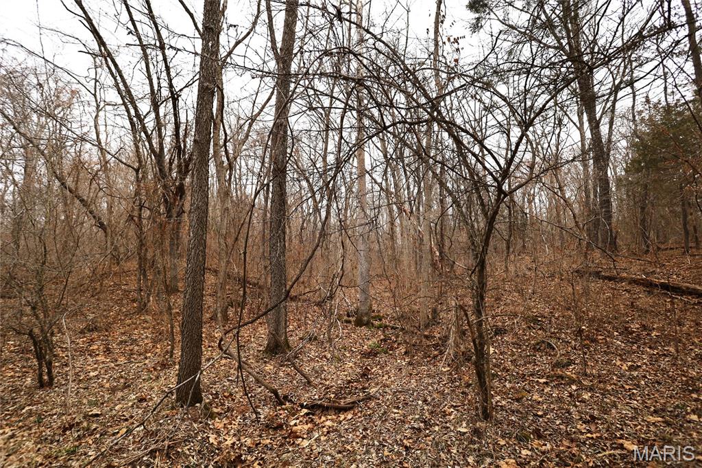 0 Roderick Road Cadet, MO 63630 - Photo 18 of 33