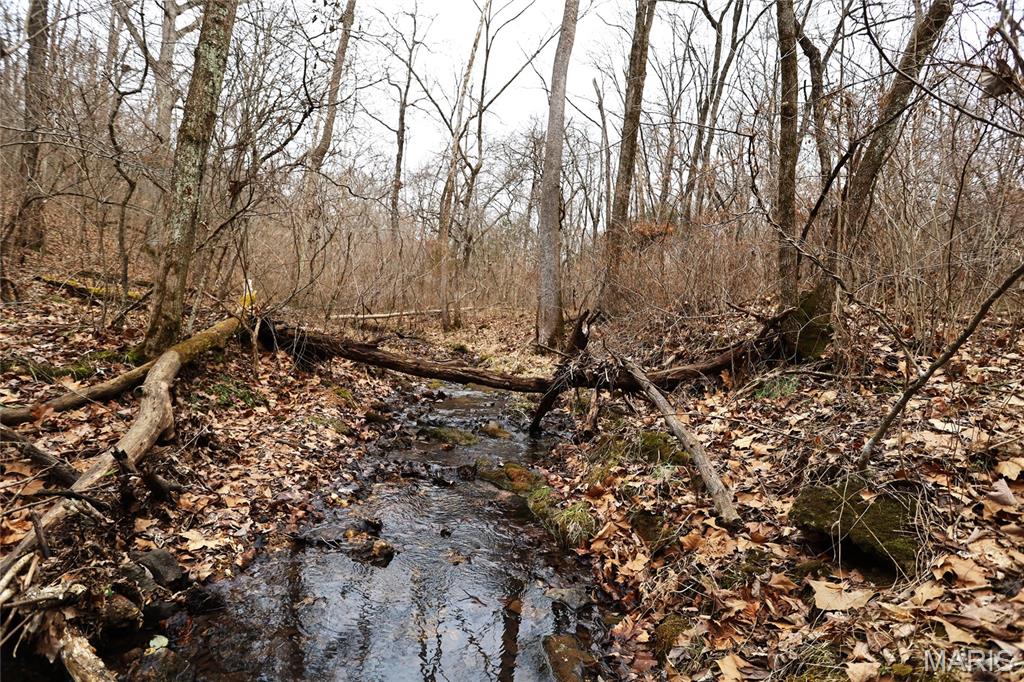 0 Roderick Road Cadet, MO 63630 - Photo 20 of 33