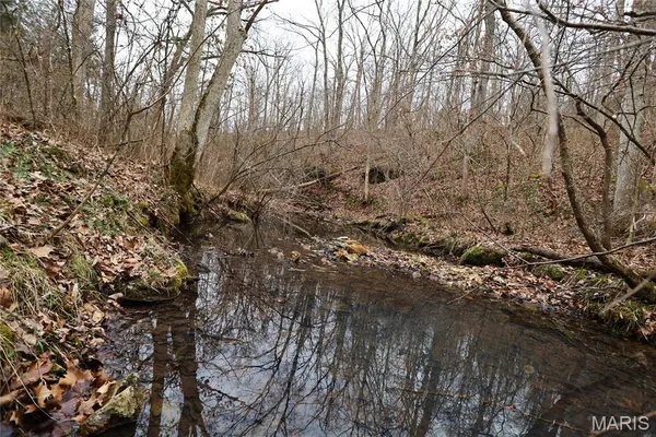 $162,950 | 0 Roderick Road, Cadet, MO 63630