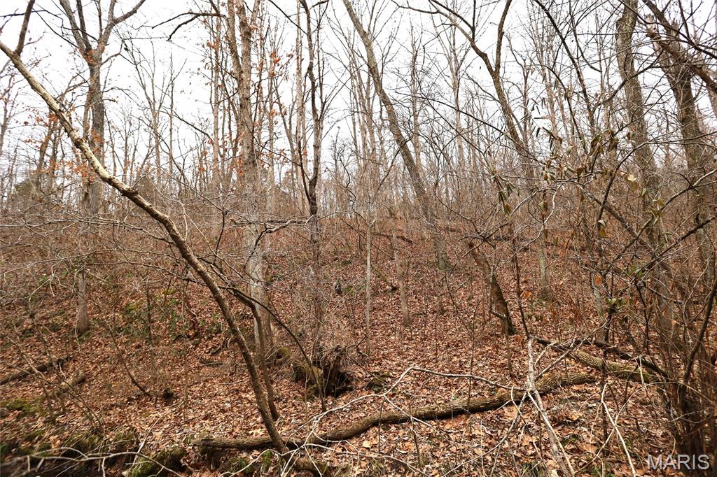 0 Roderick Road Cadet, MO 63630 - Photo 22 of 33