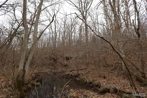 $162,950 | 0 Roderick Road, Cadet, MO 63630