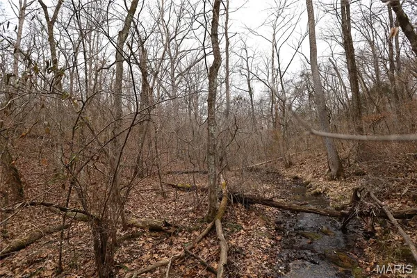 $162,950 | 0 Roderick Road, Cadet, MO 63630