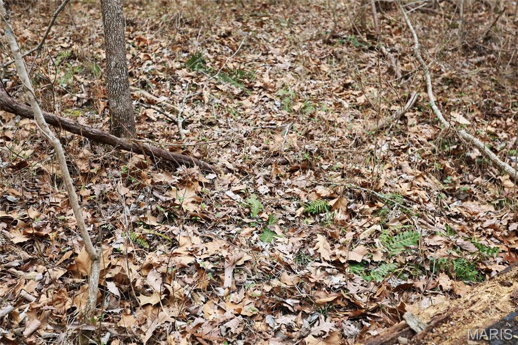 0 Roderick Road Cadet, MO 63630 - Photo 25 of 33