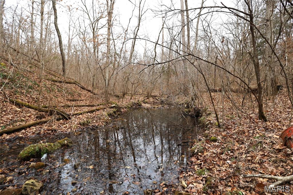 0 Roderick Road Cadet, MO 63630 - Photo 26 of 33