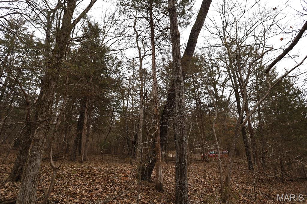 0 Roderick Road Cadet, MO 63630 - Photo 28 of 33