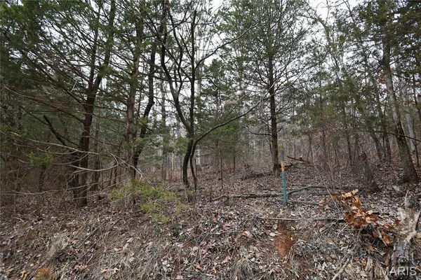 $162,950 | 0 Roderick Road, Cadet, MO 63630