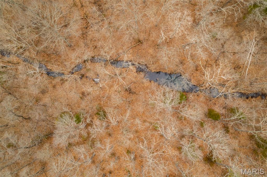 0 Roderick Road Cadet, MO 63630 - Photo 3 of 33