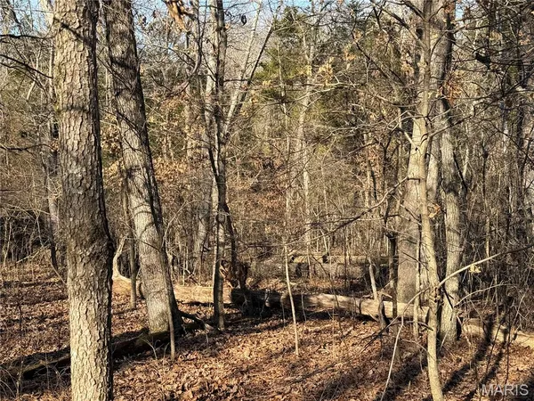 $162,950 | 0 Roderick Road, Cadet, MO 63630