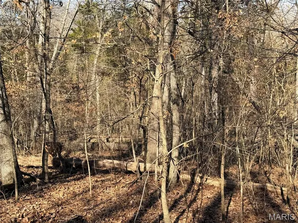 $162,950 | 0 Roderick Road, Cadet, MO 63630