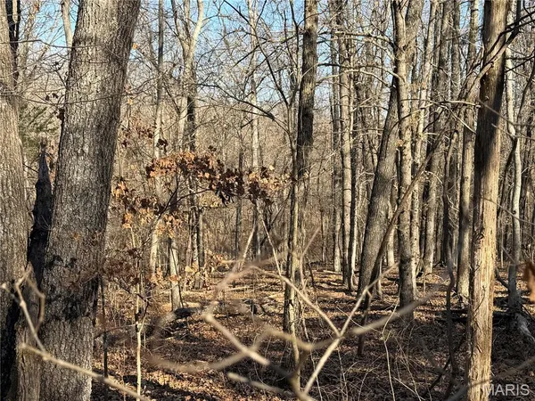 $162,950 | 0 Roderick Road, Cadet, MO 63630