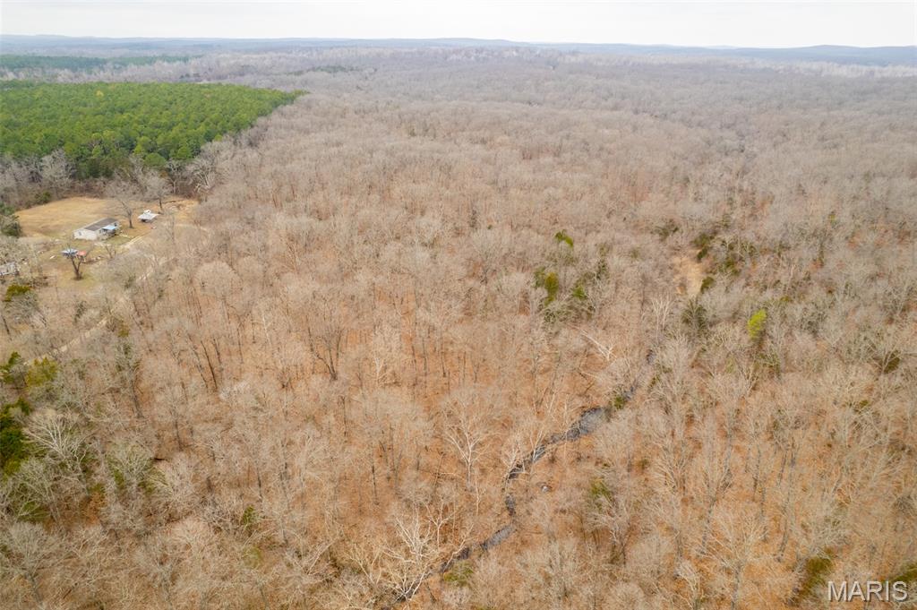 0 Roderick Road Cadet, MO 63630 - Photo 4 of 33