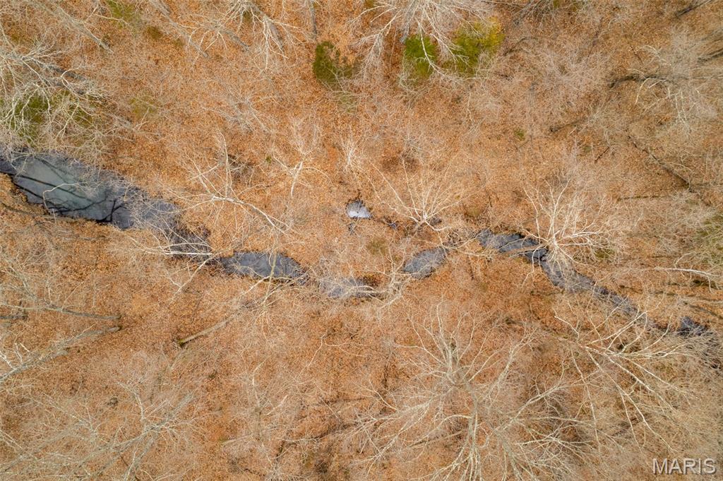 0 Roderick Road Cadet, MO 63630 - Photo 5 of 33