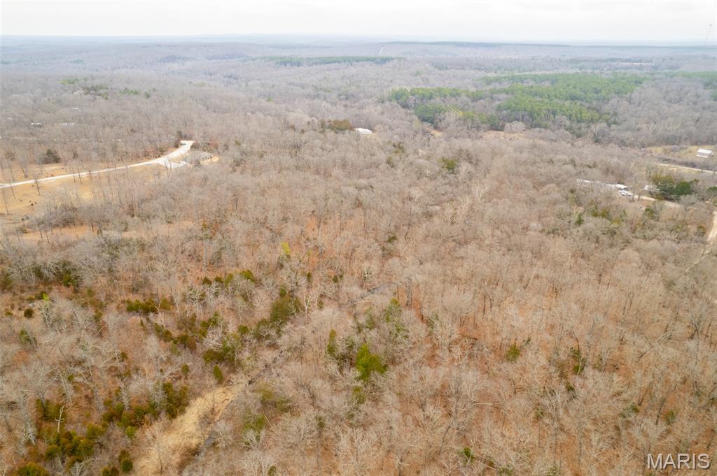 0 Roderick Road Cadet, MO 63630 - Photo 6 of 33