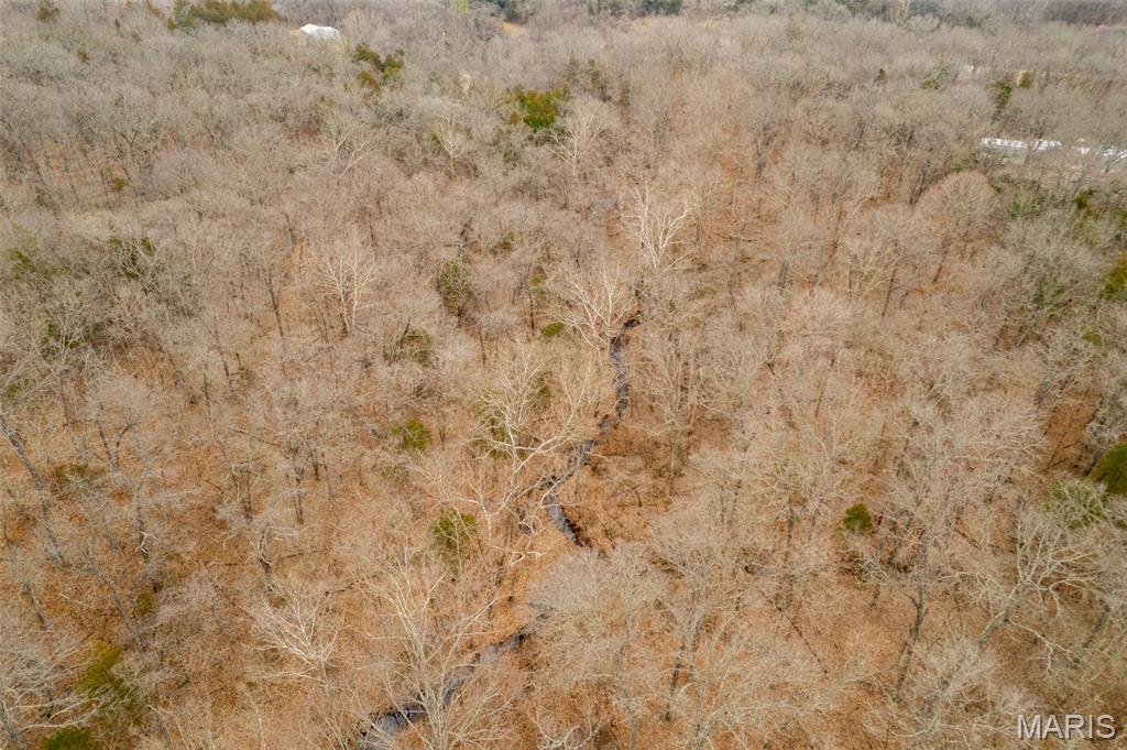 0 Roderick Road Cadet, MO 63630 - Photo 7 of 33