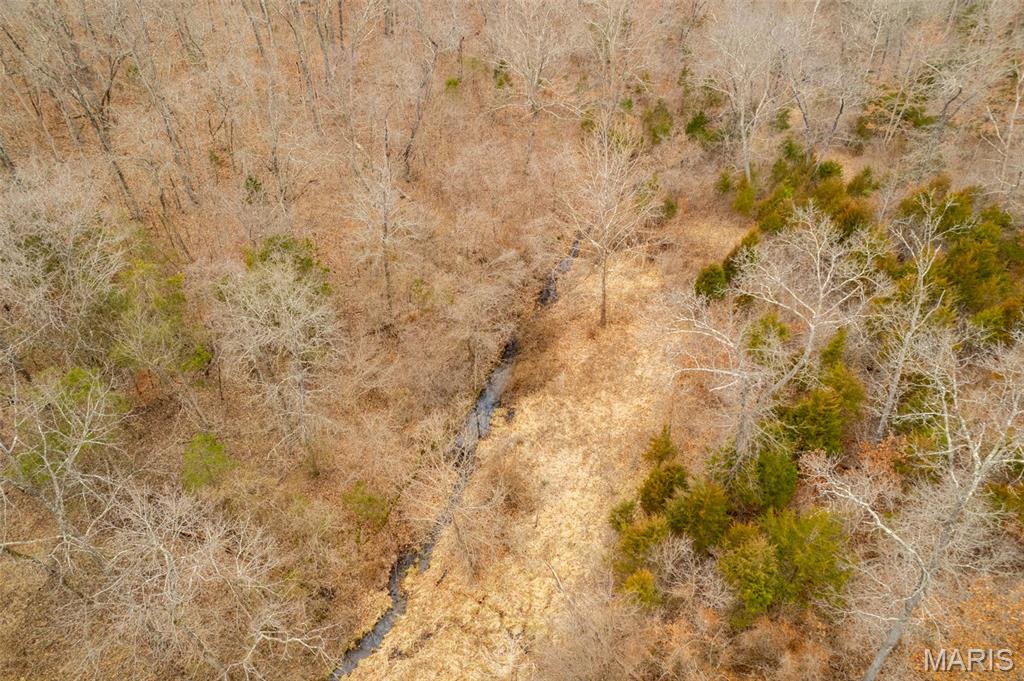 0 Roderick Road Cadet, MO 63630 - Photo 9 of 33