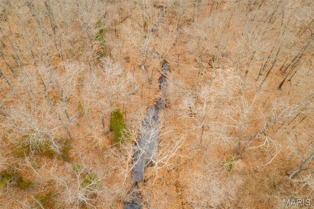 0 Roderick Road Cadet, MO 63630 - Photo 10 of 33