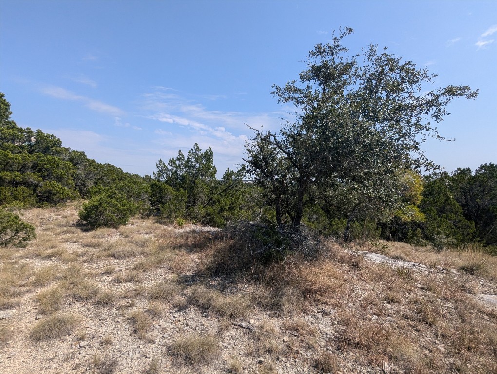 0 Broadwing Cove Austin, TX 78737 - Photo 6 of 15 a view of a dirt road with trees in the background