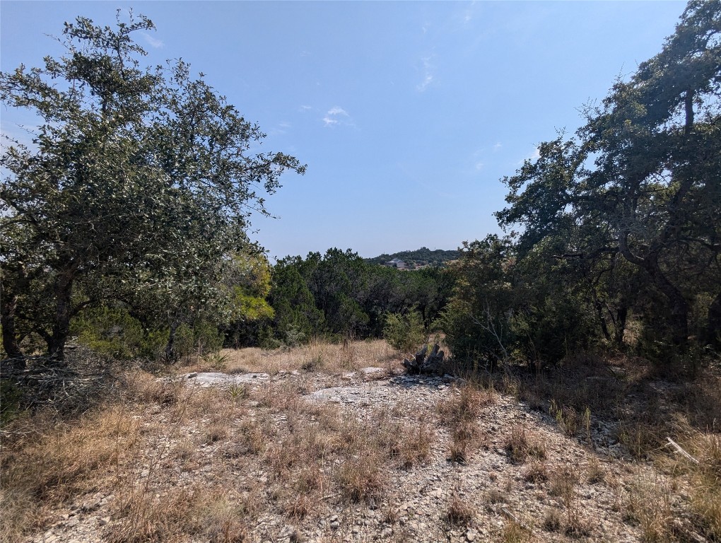 0 Broadwing Cove Austin, TX 78737 - Photo 7 of 15 a view of a forest with a tree