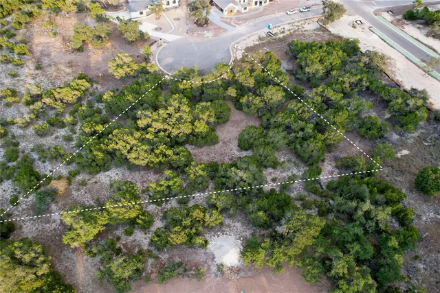 a view of a garden with a plant