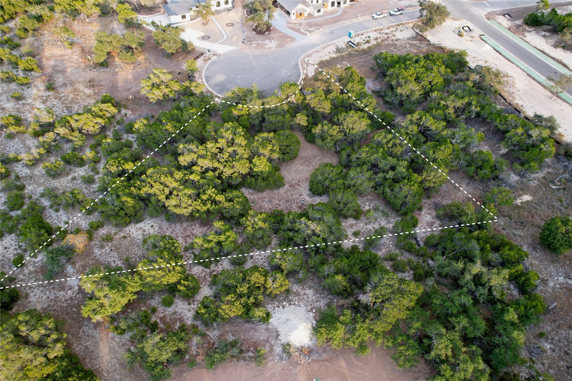0 Broadwing Cove Austin, TX 78737 - Photo 9 of 15 a view of a garden with a plant