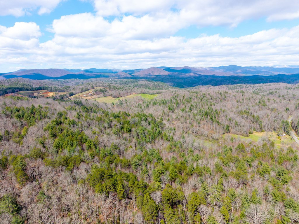 1669 Hiwassee Dam Access Road Murphy, NC 28906 - Photo 3 of 19