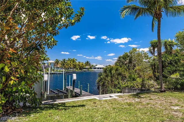 a view of a backyard with a garden and palm trees