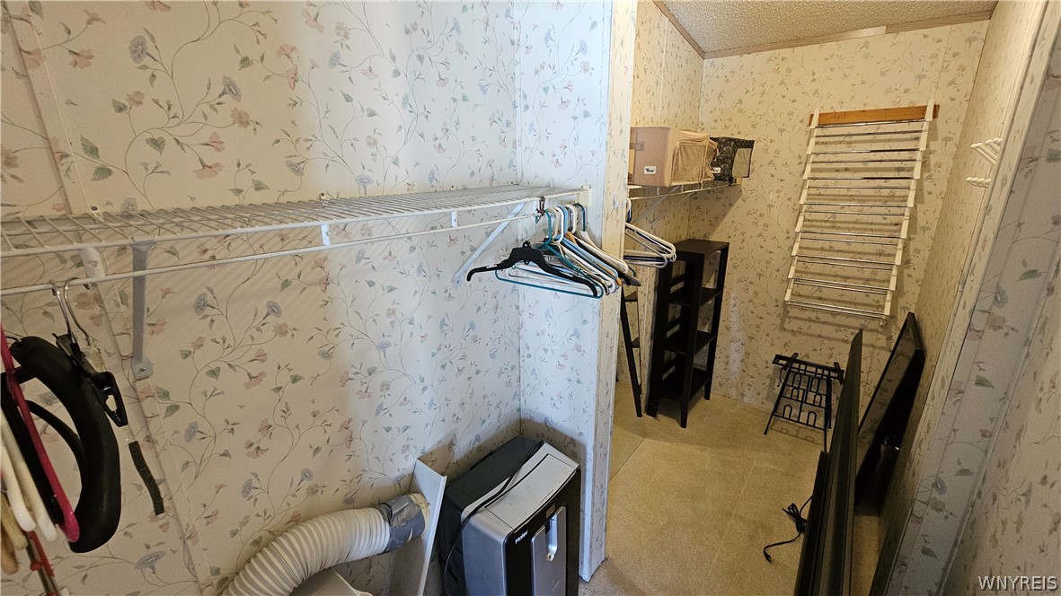 20 Calla Way Cheektowaga, NY 14043 - Photo 18 of 31 Master bedroom walk-in closet
