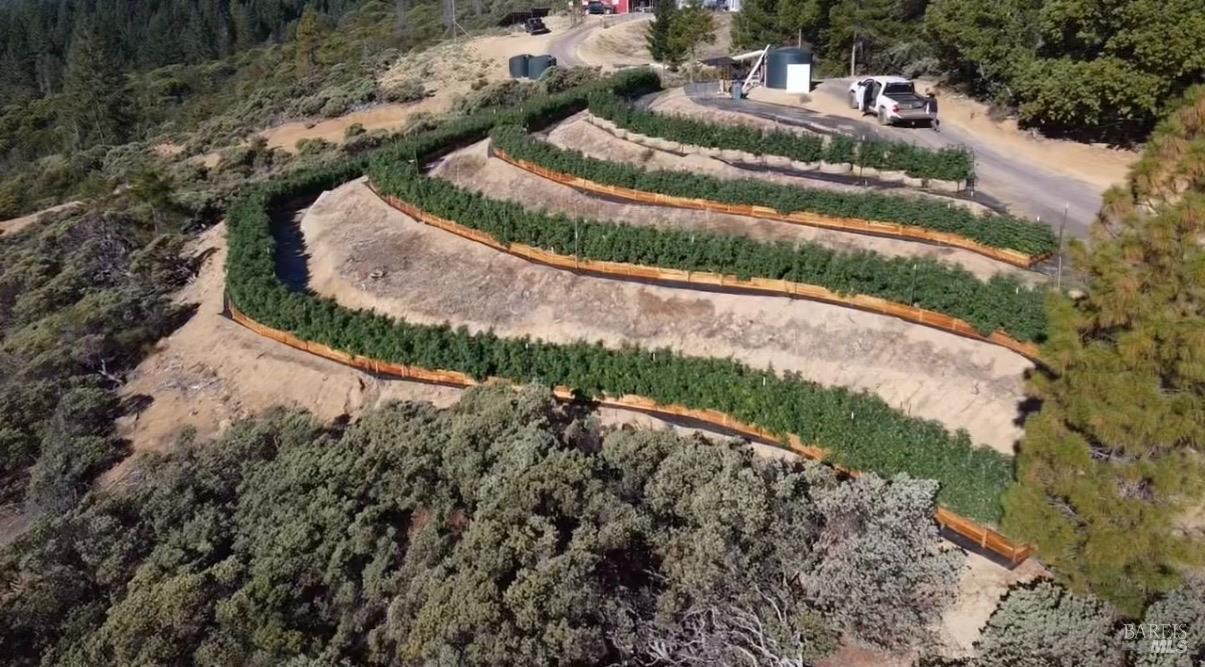 19450 Tomki Road Willits, CA 95490 - Photo 13 of 28