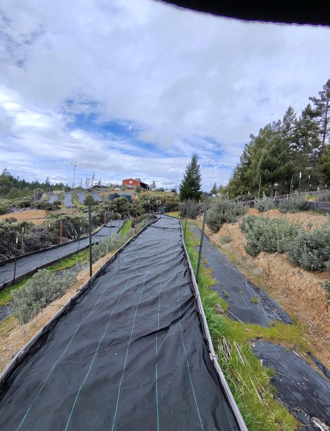 19450 Tomki Road Willits, CA 95490 - Photo 22 of 28