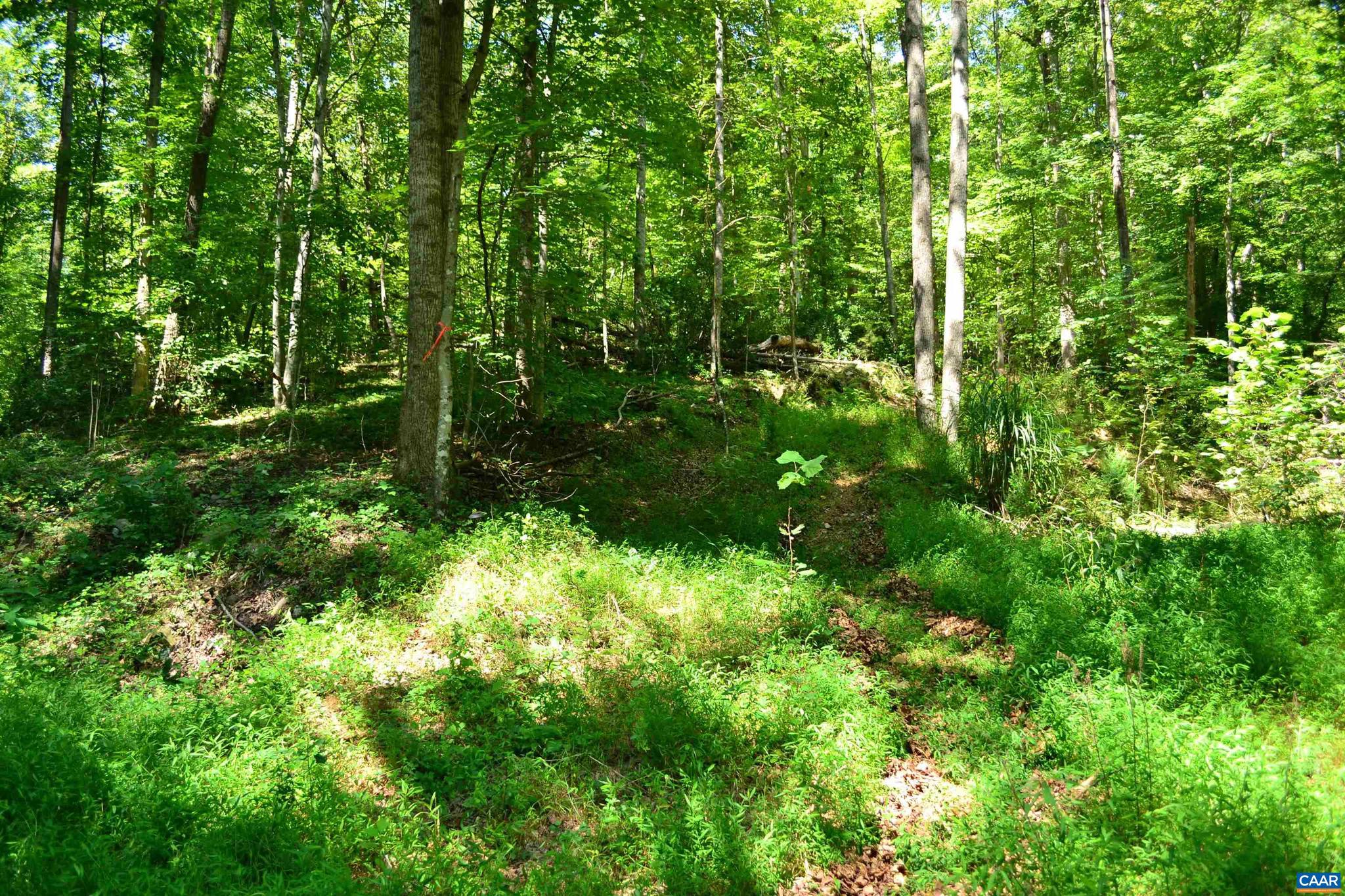 Tbd Damon Road, Unit 2 Schuyler, VA 22969 - Photo 12 of 14 Gallery Image 12