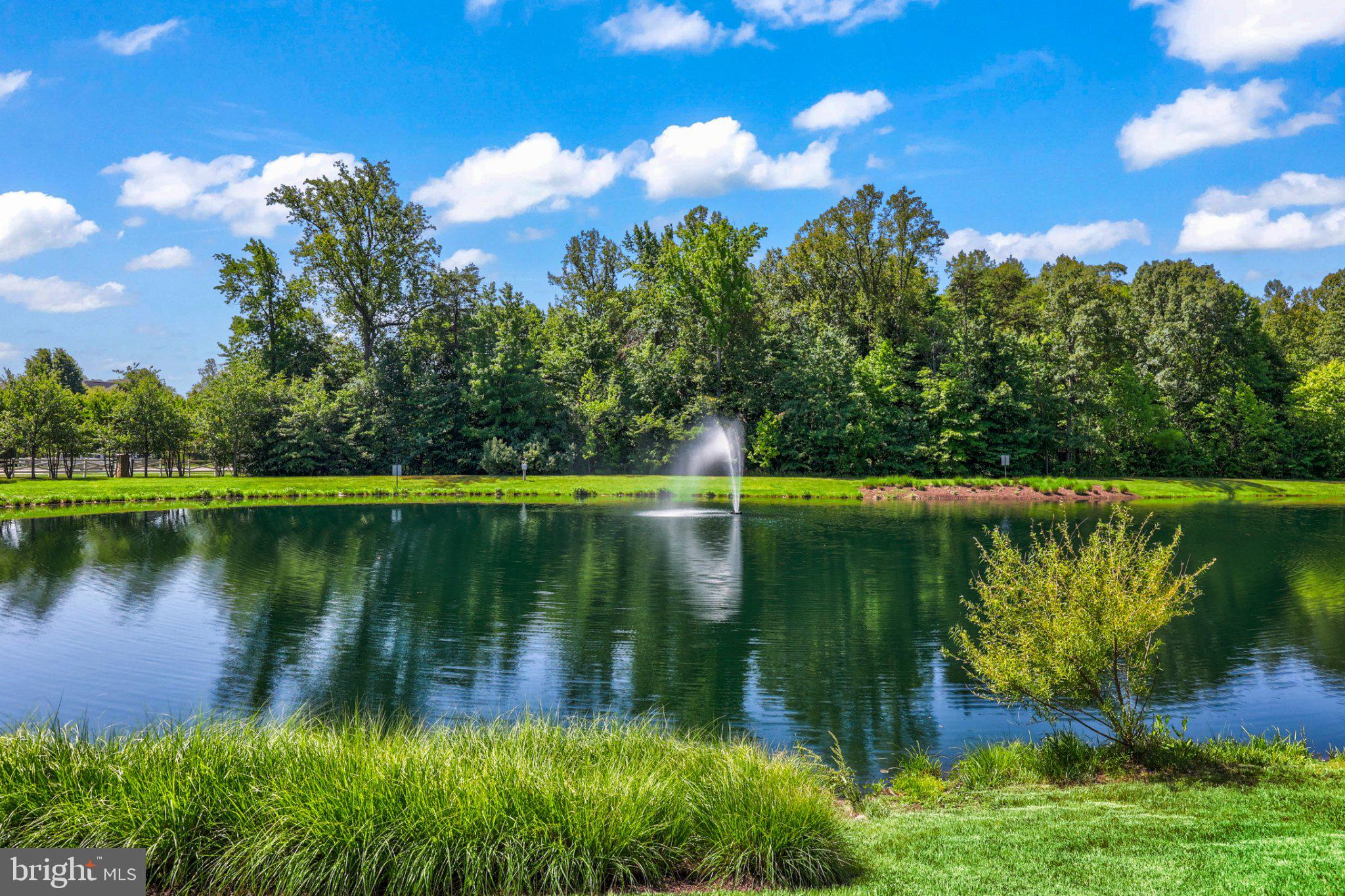 16183 Raptor Crest Lane Woodbridge, VA 22193 - Photo 48 of 51 Serene pond with lush greenery.