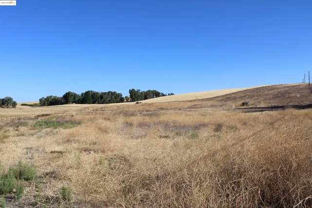 a view of a dry yard with wooden floor