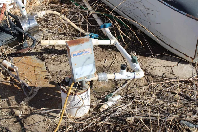 a view of a yard with large trees