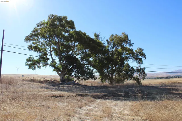 a view of an ocean and beach