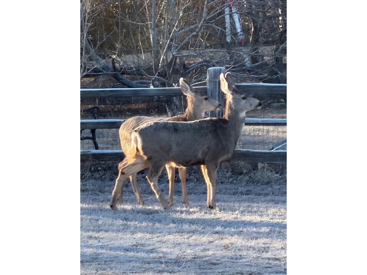 8840 Niwot Road Niwot, CO 80503 - Photo 19 of 34 a view of entryway with wooden floor