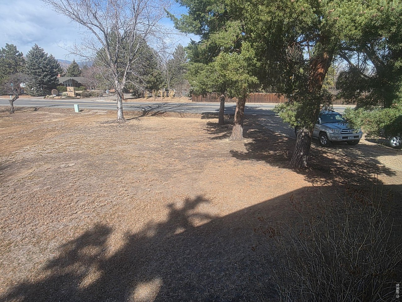 8840 Niwot Road Niwot, CO 80503 - Photo 23 of 34 a view of dirt yard with trees