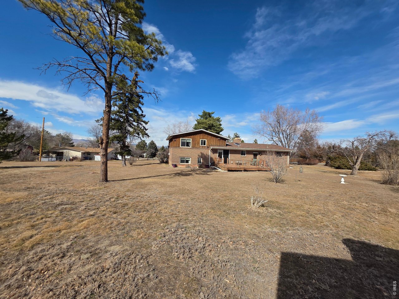 8840 Niwot Road Niwot, CO 80503 - Photo 26 of 34 a view of road with large trees