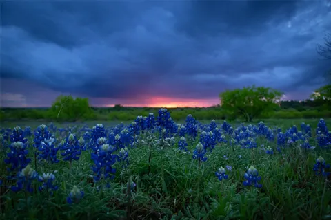 $2,195,000 | 272 Slate Rock Road, Fredericksburg, TX 78624