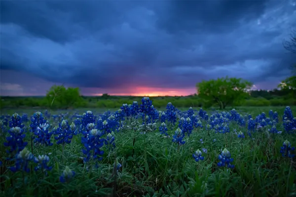 $2,195,000 | 272 Slate Rock Road, Fredericksburg, TX 78624