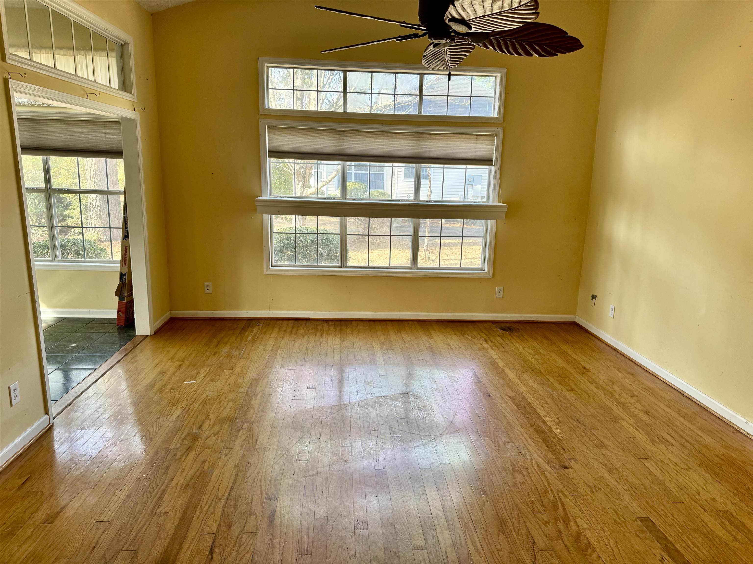 231 King George Lane Georgetown, SC 29440 - Photo 3 of 17