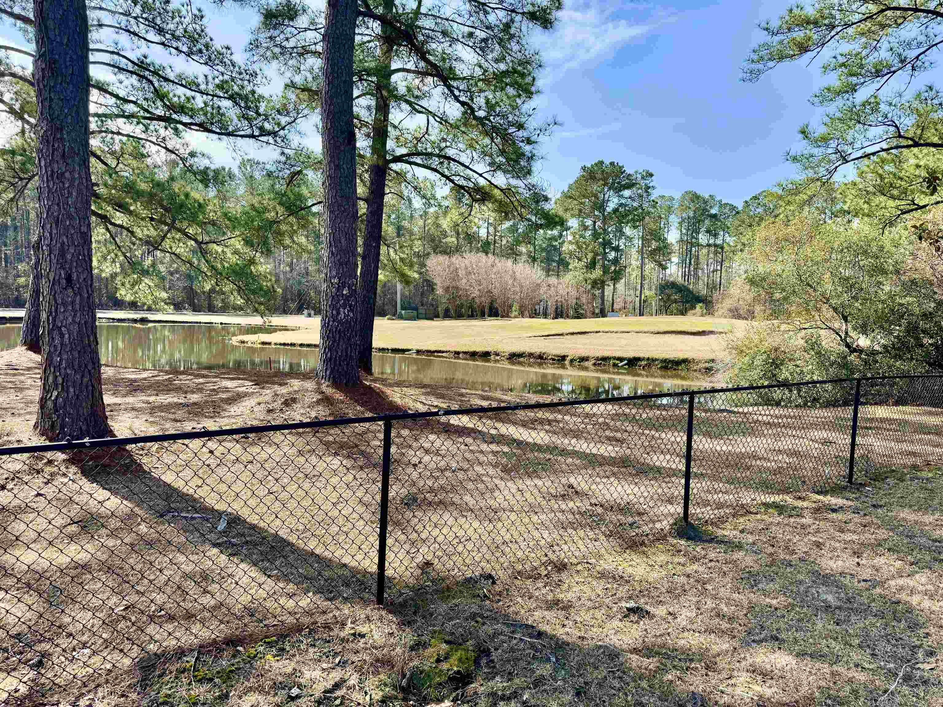 231 King George Lane Georgetown, SC 29440 - Photo 6 of 17