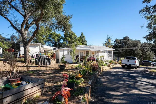 a view of a patio with table and chairs potted plants and palm tree