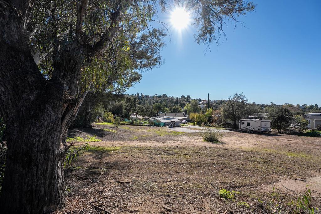 2560-66 Alpine Boulevard Alpine, CA 91901 - Photo 21 of 32 a view of a yard with a tree