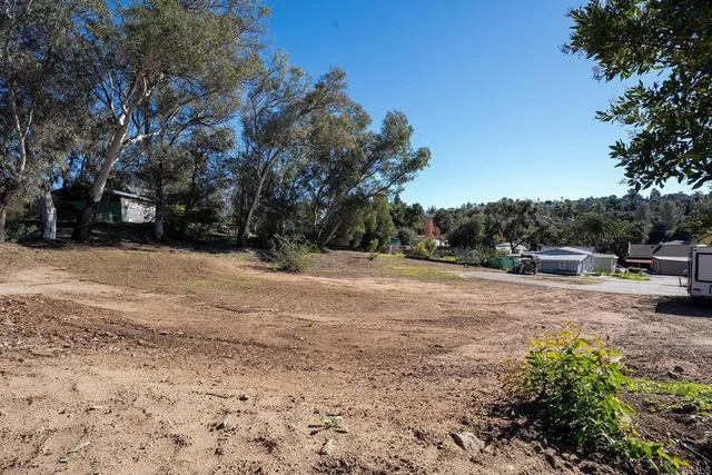 a view of dirt yard with large trees